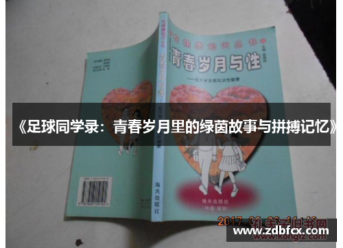 《足球同学录：青春岁月里的绿茵故事与拼搏记忆》